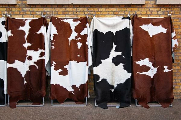 Which Country Imports the Most Raw Hides and Skins of Bovine in the World?